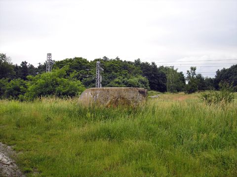 Foto 16